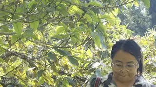 shubha Bihani sathi