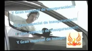 PHOENIX AUTO GLASS
