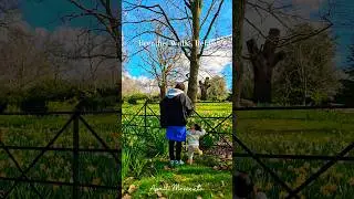 Peaceful Walk In Richmond Park | London&rsquo;s Nature Escape