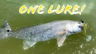 FOUND the REDFISH in Arroyo City! Only ONE lure needed 3JD LURES