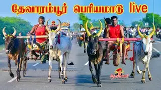 thevaramour periyamadu live 2026