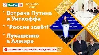Встреча Путина и Уиткоффа / 