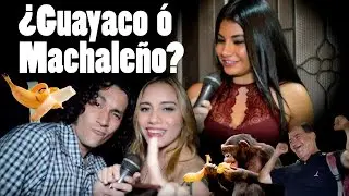 ¿Guayaco o Machaleño?