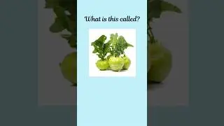 Can you name these Vegetables? #dailyenglish #learnenglish #english #englishvocabulary #vocabulary