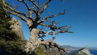 Crimean walks. Little trip in Crimea. November