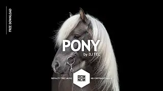 PONY - DJ FEC | Royalty Free Music - No Copyright Music