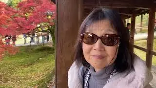 紅葉めぐり　京都・滋賀　November 2025