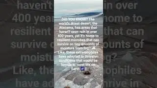#knowledge #atacamadesert #extremophiles #LifeintheExtreme