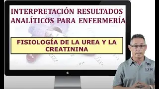 15. INTERPRETACIÓN RESULTADOS ANALÍTICOS. FISIOLOGÍA DE LA UREA Y CREATININA