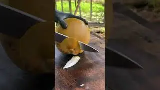 The Fastest Way to Open a Fresh Coconut You Never Knew About