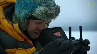 Emperor penguin chicks jump off a 50 foot cliff in Antarctica NEVER BEFORE FILMED FOR TV