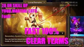 Summoners war: How to second awaken and skill up martial cats Fast and effective! 100% teams!