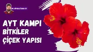 Bitkilerde Üreme Çiçek Yapısı | Dr. Biyoloji | AYT Dönem 2026 - 2027