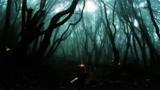 Moth - Aokigahara