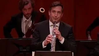 Mozart - Symphony No. 40 in G minor, K. 550. Irish Chamber Orchestra