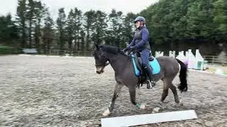 Fred novice
