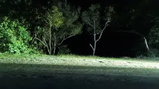 Olight Marauder X9R Bike Light!