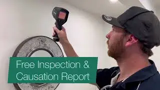Melbourne Mould Removal and Mould Inspections