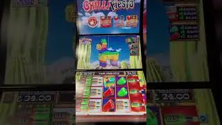 Chilli Fiesta Coral fobt - An old favourite