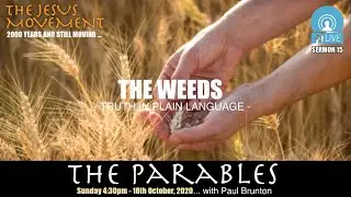 Sermon: Parable 15: The Weeds