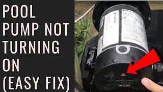 Pool Pump Not Turning On - (Easy Fix)