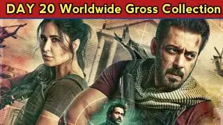Tiger 3 Box Office Collection Day 20 || Tiger 3 Worldwide Collection || Tiger 3 Box Office Report
