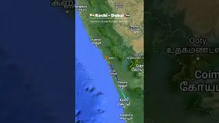 KOCHI 🇮🇳 to DUBAI 🇦🇪 Flight Route ✈️ Air India Express IX435 #aviation #travel #flight #shorts
