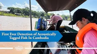 First Ever Detection of Acoustically Tagged Fish In Cambodia