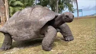 Seychellen Highlights - Katamarantour 7 Tage um Mahe, Praslin und La Digue mit Coco und Felicitas