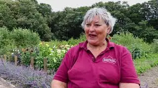 Bedfords Park Walled Garden