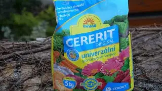 Cererit