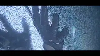 Poison Point - Imaginary Veil (Music Video)