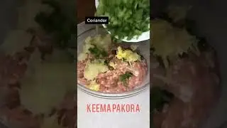 Keema Pakora Recipe By iUshnaKhan | Crispy Keema Pakora Recipe