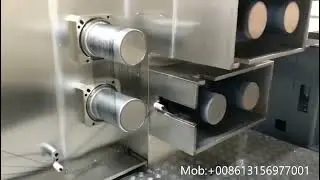 PP FDY YARN SPINNING LINES/HT CF YARN SPIN EXTRUDER PLANT IN JAPAN