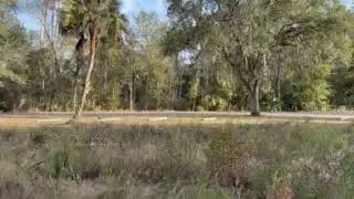 Video of Hillsborough River State Park Campground, FL from PJ R.