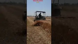 #GERHUN #gehunkatai #gehun #trendingreels #vedioviral #drendingvideo #farminglife #gold #kishanchall