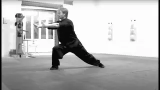 Choy li fut Kung Fu: Siu Sup Ji,  Small Cross Pattern Form