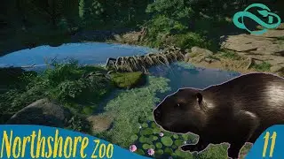 Beaver Dam || Northshore Zoo || Episode 11 || Planet Zoo Speedbuild