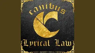 The Emerald Law (Instrumental)