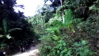 Adrenalin Perjalanan ke pantai pulodoro