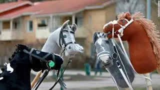 Хоббихорсинг в КСК 