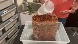 Reptile Substrate Prep. ReptiChip