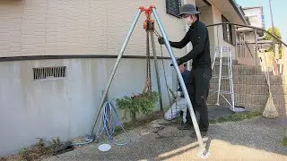 チェーンブロックで低木の抜根♪