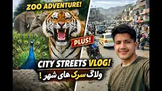 A Peaceful Day at the Zoo & Streets | Travel Vlog in Helmand Province #afghanistan #travel