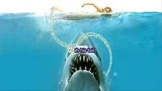 Lemon Demon - Jaws (Karaoke)