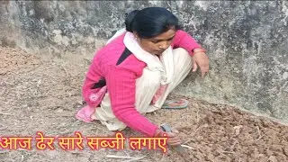 आज अपने बारी में ढेर सारे सब्जी लगाएं # nishu kitchen vlog
