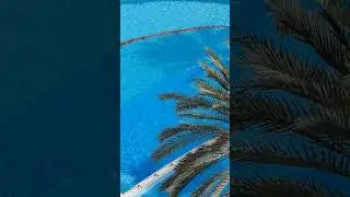 Dead Sea 🌊 ים המלח