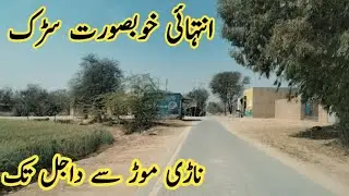 Beautiful Dajal Road in Village ll Shahid Baloch ll Village Life ll Saraiki Wasaib ll
