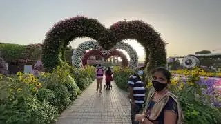 Dubai Miracle Garden 2021 03 20