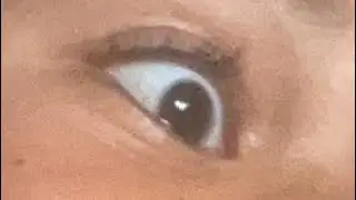 SCP-CONTROLLED CONTAINMENT BREACH.001.mp4